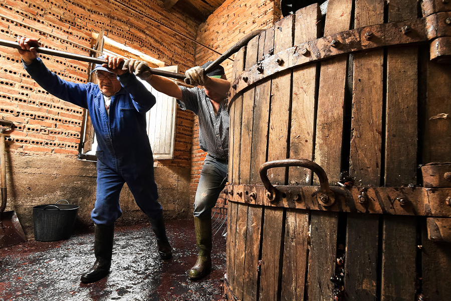 The Artistry of Wine Making: Crafting Liquid Elixir