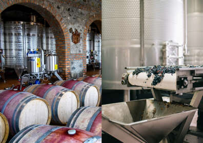 The Art of Tannin Management in Winemaking